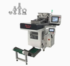 Integrative Visual Counting Packing Machine for Stainless Steel Screws